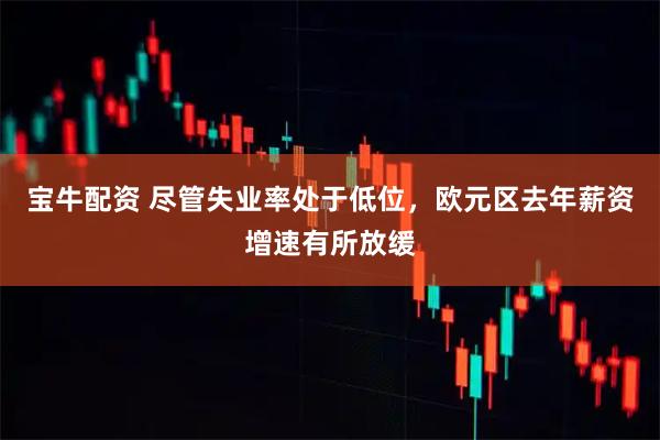 宝牛配资 尽管失业率处于低位，欧元区去年薪资增速有所放缓